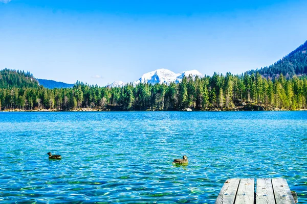 Uitzicht Het Prachtige Lake Hintersee Beierse Alp Van Beieren — Stockfoto