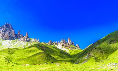 View on rough mountains and green meadows by Alpe di Siusi in South Tyrol clipart