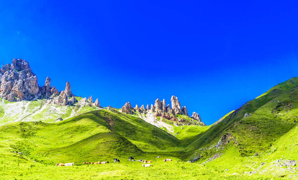 View on rough mountains and green meadows by Alpe di Siusi in South Tyrol