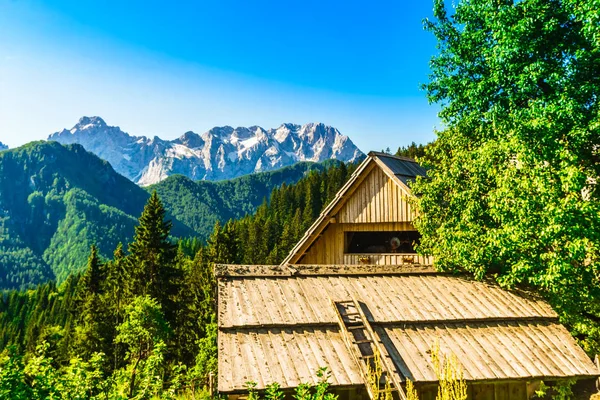 Bauernhof in den Bergen bei Logar Tal in den slowenischen Alpen — Stockfoto