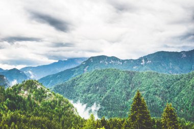 Dağlarda sis ile dramatik yeşil dağ orman