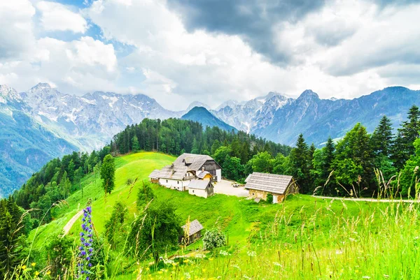 Vue sur la ferme dans les Alpes slovènes par Logar Valley — Photo