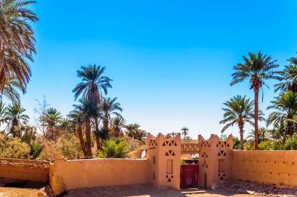 Blick Auf Die Oase Der Sahara Wüste Marokkos — Stockfoto