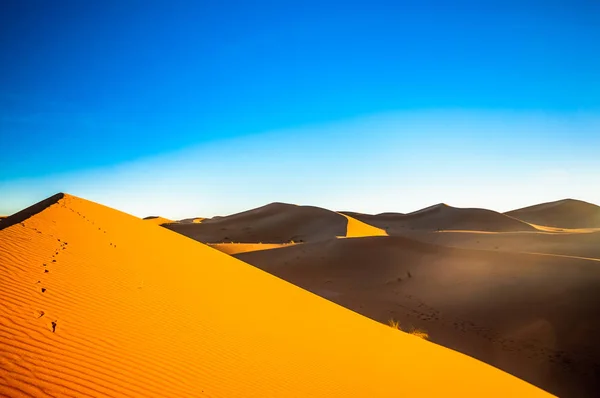 Vista Sul Paesaggio Desertico Del Sahara Vicino Mhamid Marocco — Foto Stock