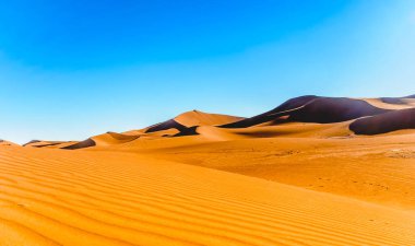View on desert landscape of the Sahara next to Mhamid in Morocco clipart