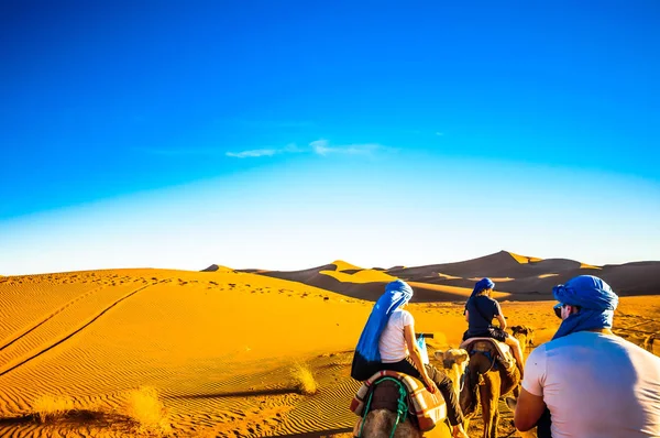 Trekking in cammello nel deserto del Marocco vicino a Mhamid — Foto Stock