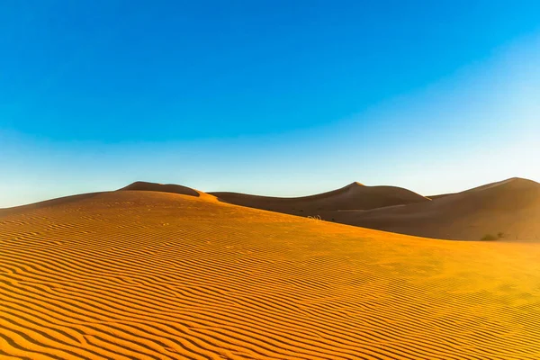 Sivatagi táj a Szahara mellett Mhamid, Marokkó — Stock Fotó