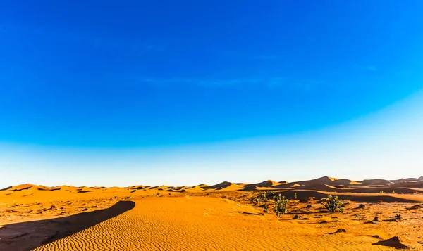 Sivatagi táj a Szahara mellett Mhamid, Marokkó — Stock Fotó