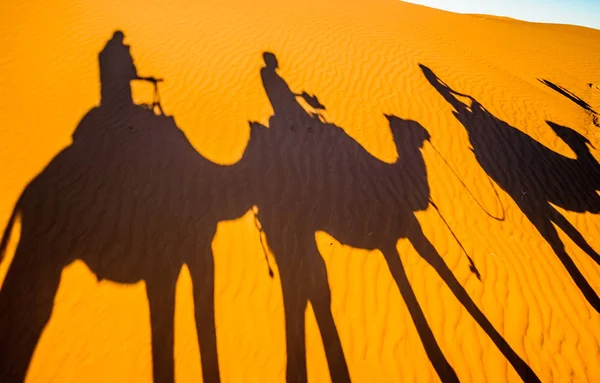 Vista Sulle Ombre Dei Cammelli Nella Sabbia Del Deserto Del — Foto Stock