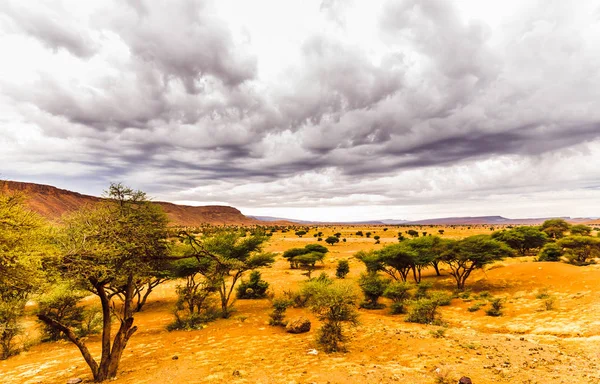 Paesaggio drammatico della Savana in Marocco — Foto Stock