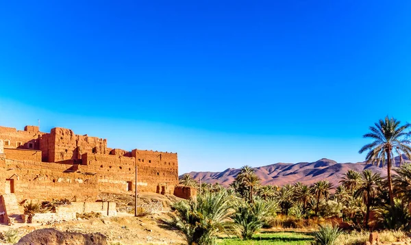 Переглянути Kasbah Caids Palm Agrden Біля Tamnougalt Долина Draa Марокко — стокове фото