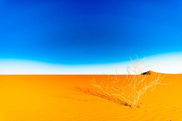 Προβολή Αμμόλοφους Της Σαχάρας Έρημο Επόμενη Mhamid Στο Μαρόκο — Φωτογραφία Αρχείου