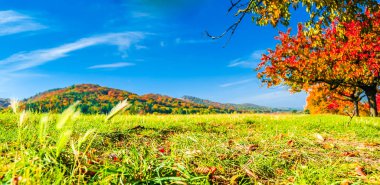 Güzel sonbahar manzara üzerinde sonraki Almanya Benzingerode köyü için görüntüleyin.