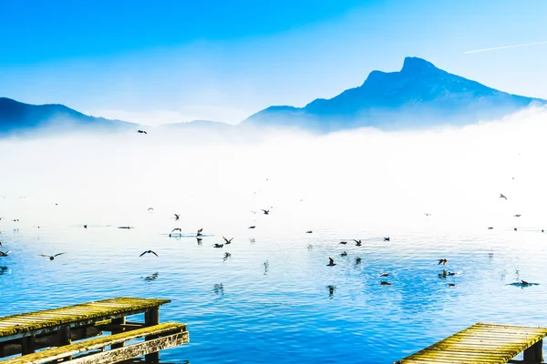 Bekijk Mistige Berglandschap Met Meeuwen Pier Van Lake Mondsee Oostenrijk — Stockfoto
