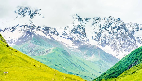 Valley Olan Glacier Ile Olan Georgia Yüksek Dağı Svaneti Caucasus — Stok fotoğraf