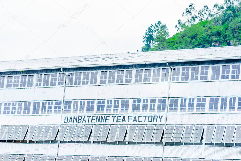 View on Damba Tenne Tea Factory in Haputale, Sri Lanka. 