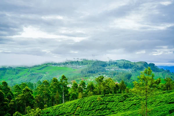 Vista sobre el té Plantación desde Lipton Seat al lado de Haputale, Sri Lanka — Foto de Stock