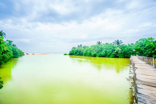 Вид на лагуну Rekawa поруч з Тангаллє, Шрі-Ланка — стокове фото