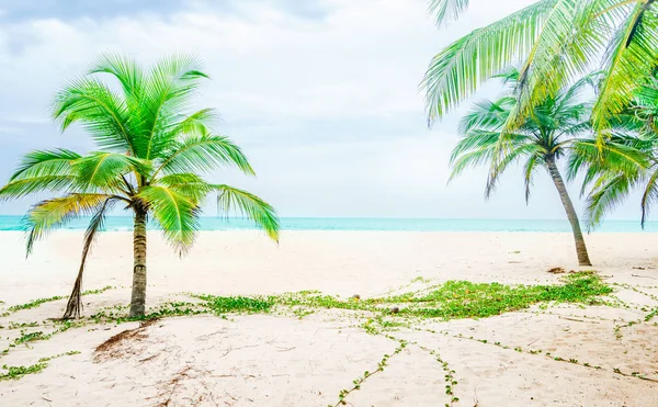 Tropical beach next of Tangalle - Sri Lanka — Stock Photo, Image