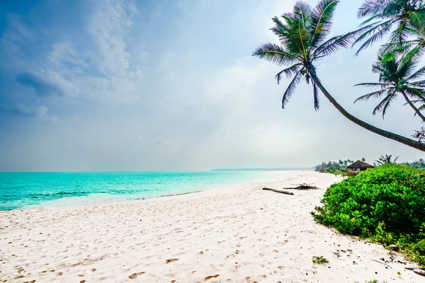 Praia tropical ao lado de Tangalle - Sri Lanka — Fotografia de Stock