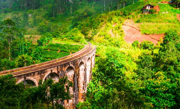 Вид на дев'ять арки моста в Шрі-Ланці, Елла — стокове фото