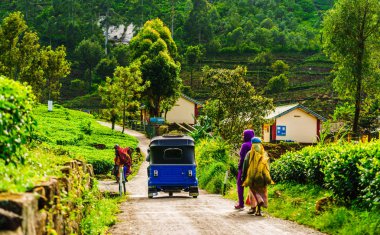 Çay plantasyon Haputale, Sri Lanka giderken kırmızı Tuk Tuk görüntüleyin