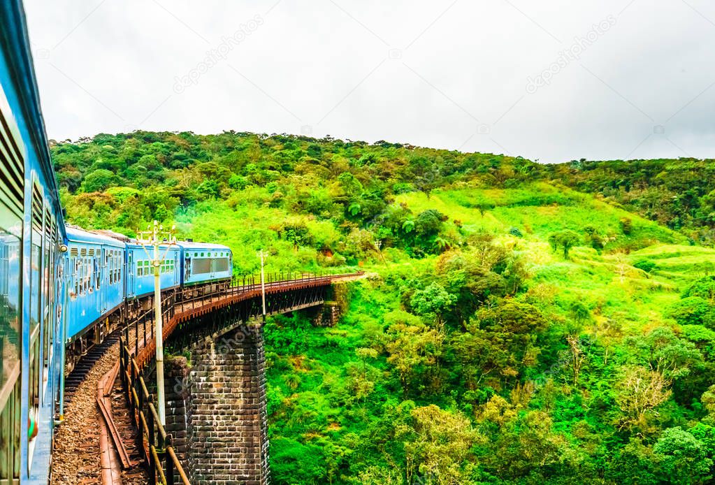 Train near Ella, running through tea fields. Sri Lanka 