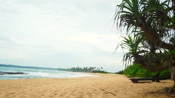 Tropisch strand van Tangalle in Sri Lanka — Stockvideo