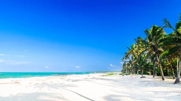 Vista sobre Praia tropical caribenha por Palomino na Colômbia — Fotografia de Stock