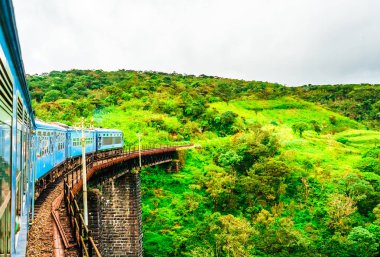 Ella, çay alanlarında çalışan yakınındaki tren. Sri Lanka 