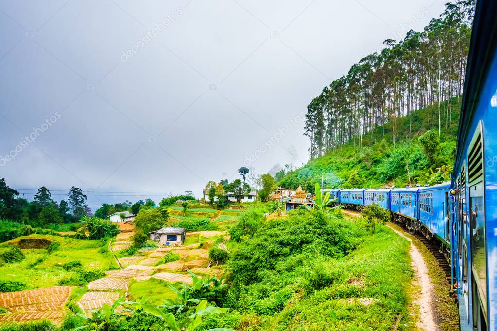 Train near Ella, running through tea fields. Sri Lanka 