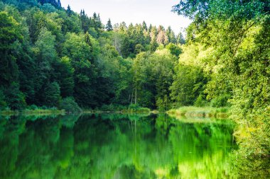 Zürih yanındaki Bergdietikon tarafından doğal göl Egelsee görünümü - İsviçre