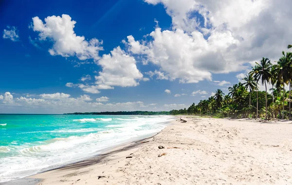 Vista sobre la playa tropical caribeña de Palomino en Colombia —  Fotos de Stock