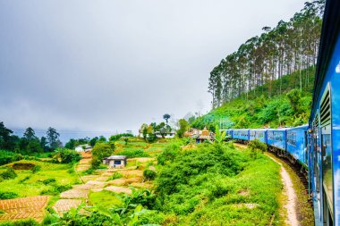 Ella, çay alanlarında çalışan yakınındaki tren. Sri Lanka 