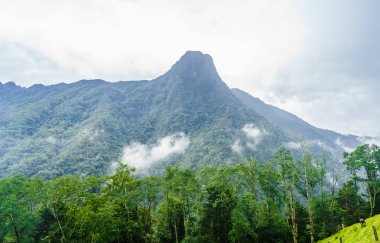 Salento, Kolombiya yanındaki Cocora Vadisi moutains görünümü