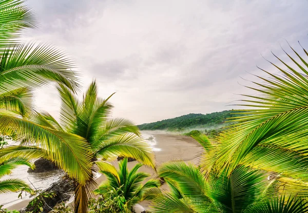 Красивий пляж Алеметаль на Тихому океані узбережжя в районі Чоко Ель-Валле поруч з Bahia Solano в Колумбії — стокове фото