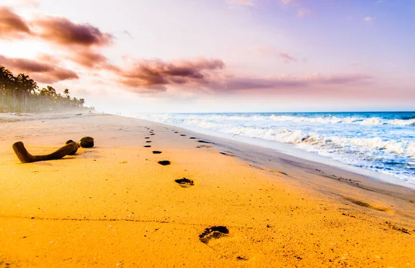 Vista sobre os alimentos e pôr do sol na praia por Tayrona na Colômbia — Fotografia de Stock