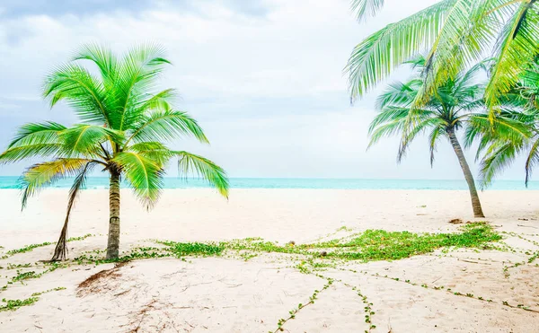 Tropical beach next to village Tangalle - Sri Lanka — Stock Photo, Image