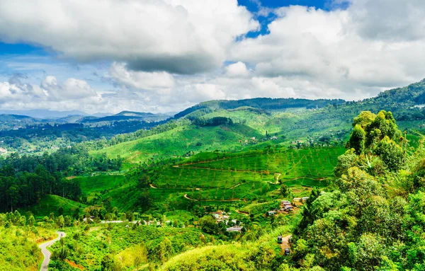 Переглянути на зелений гірський ландшафт, чайні плантації біля Haputale, Шрі-Ланка — стокове фото