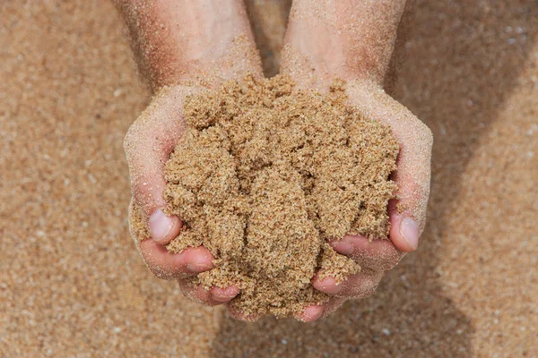 Hands Holding Wet Yellow Sand Stock Image