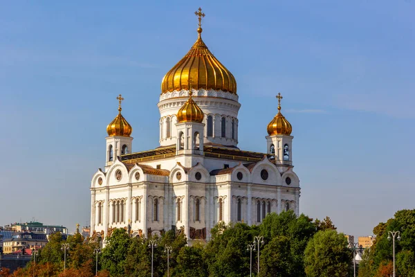 Kurtarıcı İsa 'nın Katedrali