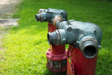 Bahçede iki kırmızı yangın musluğu var.