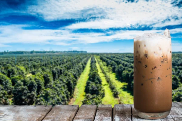 Segelas kopi es di atas meja kayu dengan kopi perkebunan — Stok Foto