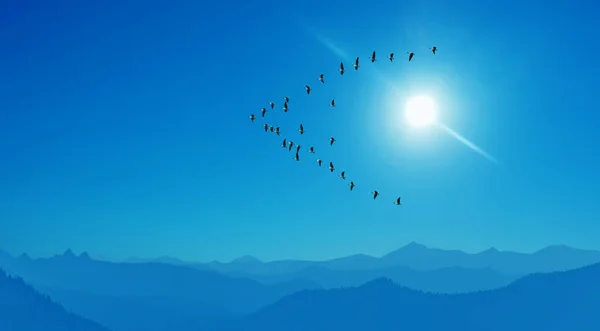 Pássaros Sobre Céu Azul Brilhante Conceito Outono Imagem Panorâmica — Fotografia de Stock