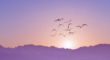 Flock of birds flying at sunset over Mountain Range clipart