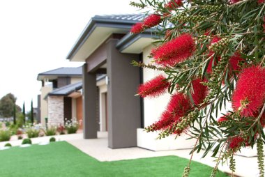 Kırmızı Çiçekli Sakızlı Melbourne Avustralya 'da modern ve şık evler