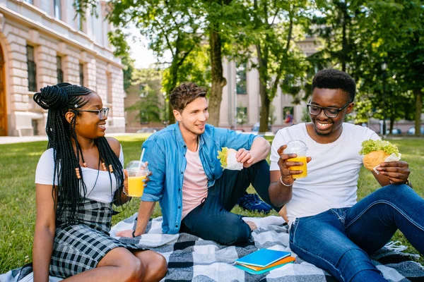 Grupo de jóvenes compañeros de trabajo alegres estudiantes multiétnicos amigos que utilizan la hora del almuerzo divertirse al aire libre en el césped verde, celebrando el comienzo de un nuevo año académico con bebidas de frutas . — Foto de Stock