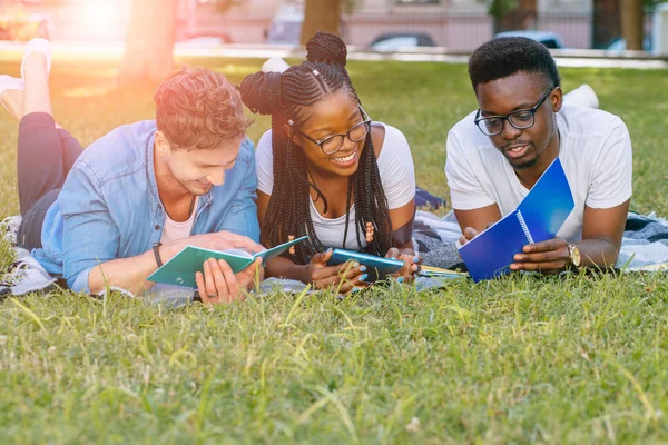 Happy group of university multiethnic students friends from different countries and races lying on the grass reading books outdoor. Sun glare effect. Teamwork study and new academic year concept.