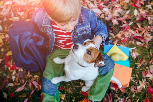 Jongen knuffelende hond in de herfst — Stockfoto