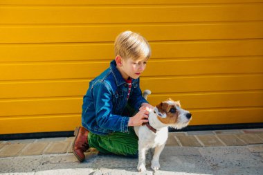 Küçük çocuk saklanmış köpek Jack Russell Terrier ile oynuyor.